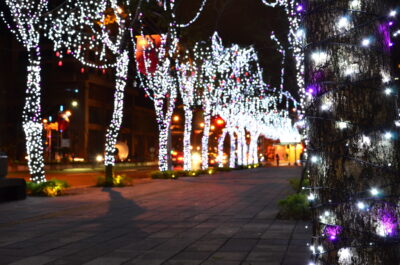 Home - North Carolina Holiday Lights