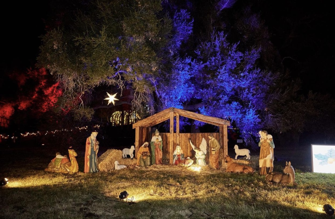 Holiday Lights Manger